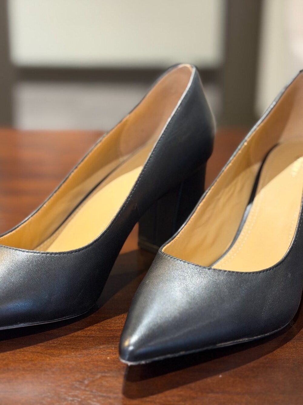 Quince Italian Leather Block Heel Pump 7.5
